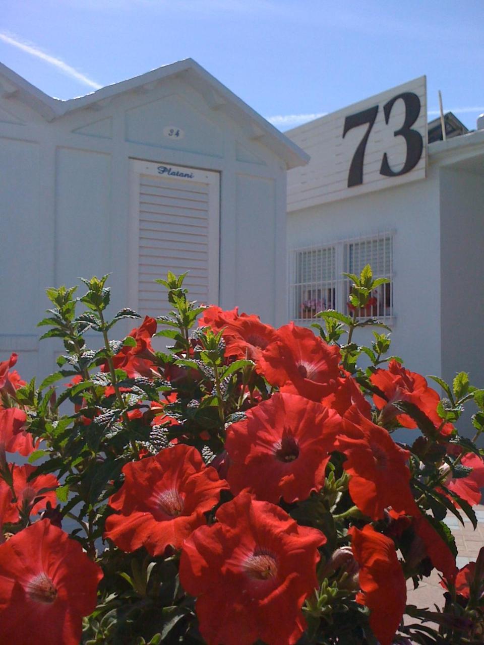 Hotel Villa Platani Riccione Eksteriør bilde